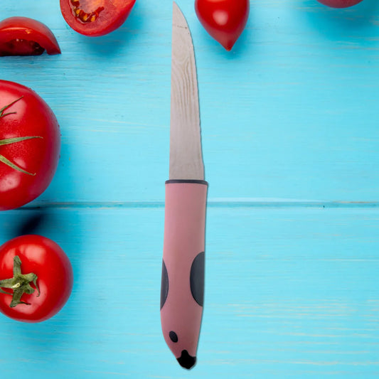 Multi-purpose Stainless Steel Kitchen Cutting Knife (1 Pc) - Zidbik