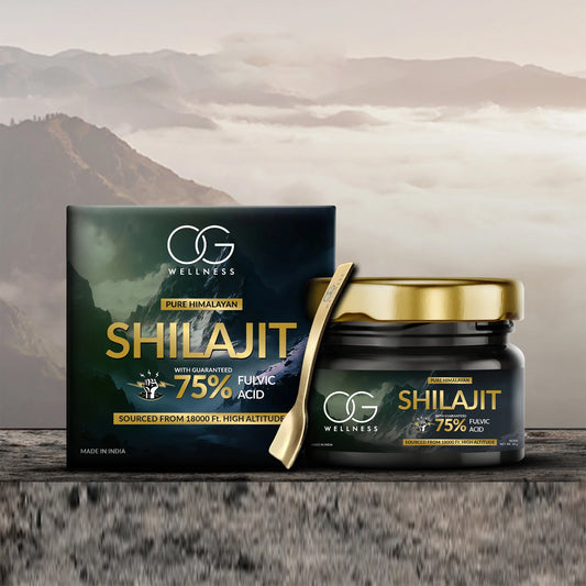 Og Wellness Pure Himalayan Shilajit Resin (20 Gm 1 Pc) - Zidbik