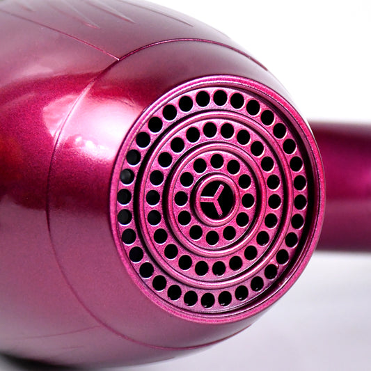 Professional High Power Multi Purpose Hair Dryer Salon (220v50-60hz 1 Pc) - Zidbik