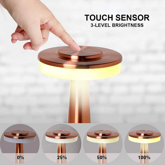 Led Lamp With Touch Control Decorative Desk Lamp Portable Metal Led Table Lamp Usb Rechargeable 3 Color 3 Levels Brightness Dimmable Eye Protection Modern Lamp For Home Decor Party Kids Room Bedroom (1 Pc)