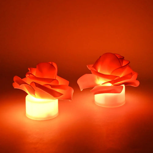 Light & Glow Collection - Zidbik