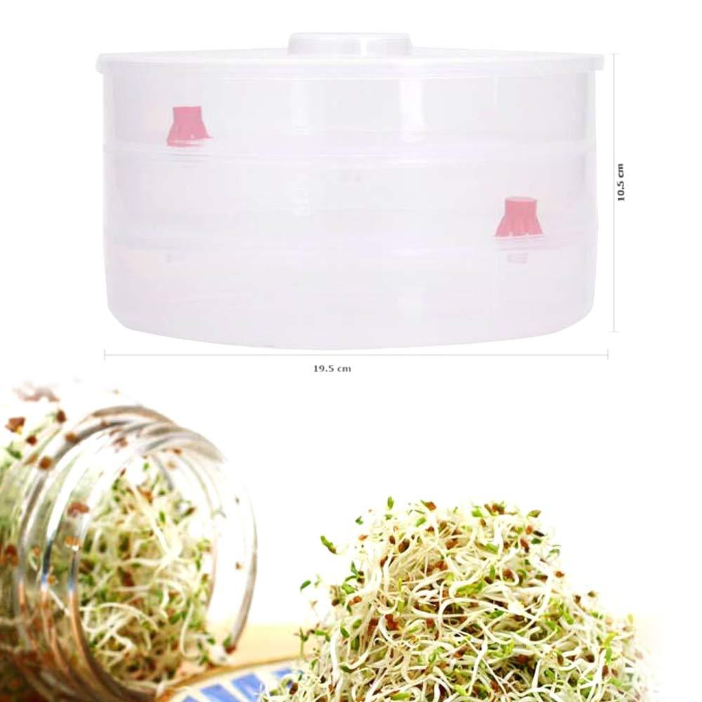 093 Plastic 3 Compartment Sprout Maker White - Zidbik