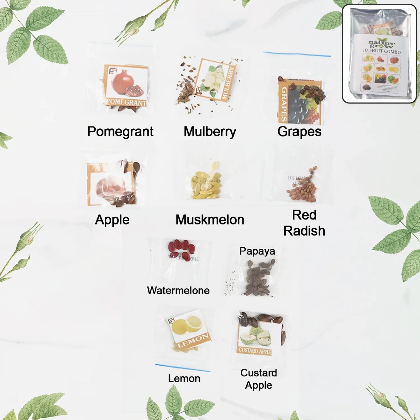 Fruit Seeds Combo Pack - (10 Pc Set) - Zidbik