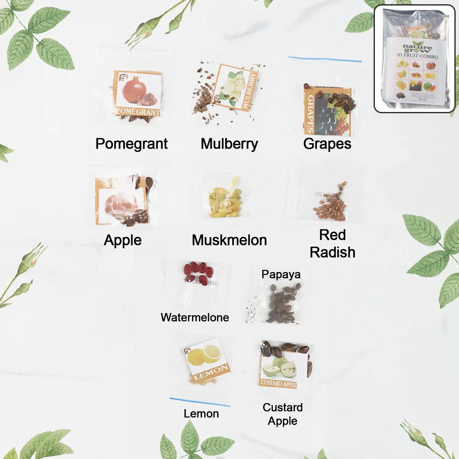 Fruit Seeds Combo Pack - (10 Pc Set) - Zidbik