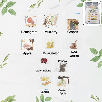 Fruit Seeds Combo Pack - (10 Pc Set) - Zidbik