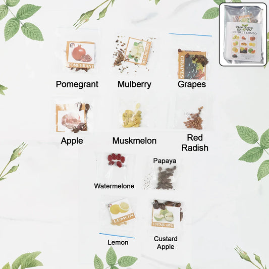 Fruit Seeds Combo Pack - (10 Pc Set) - Zidbik