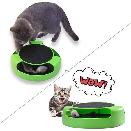 176 Cat Interactive Toy (Cat Scratching Pad) - Zidbik