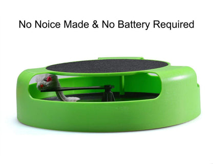 176 Cat Interactive Toy (Cat Scratching Pad) - Zidbik