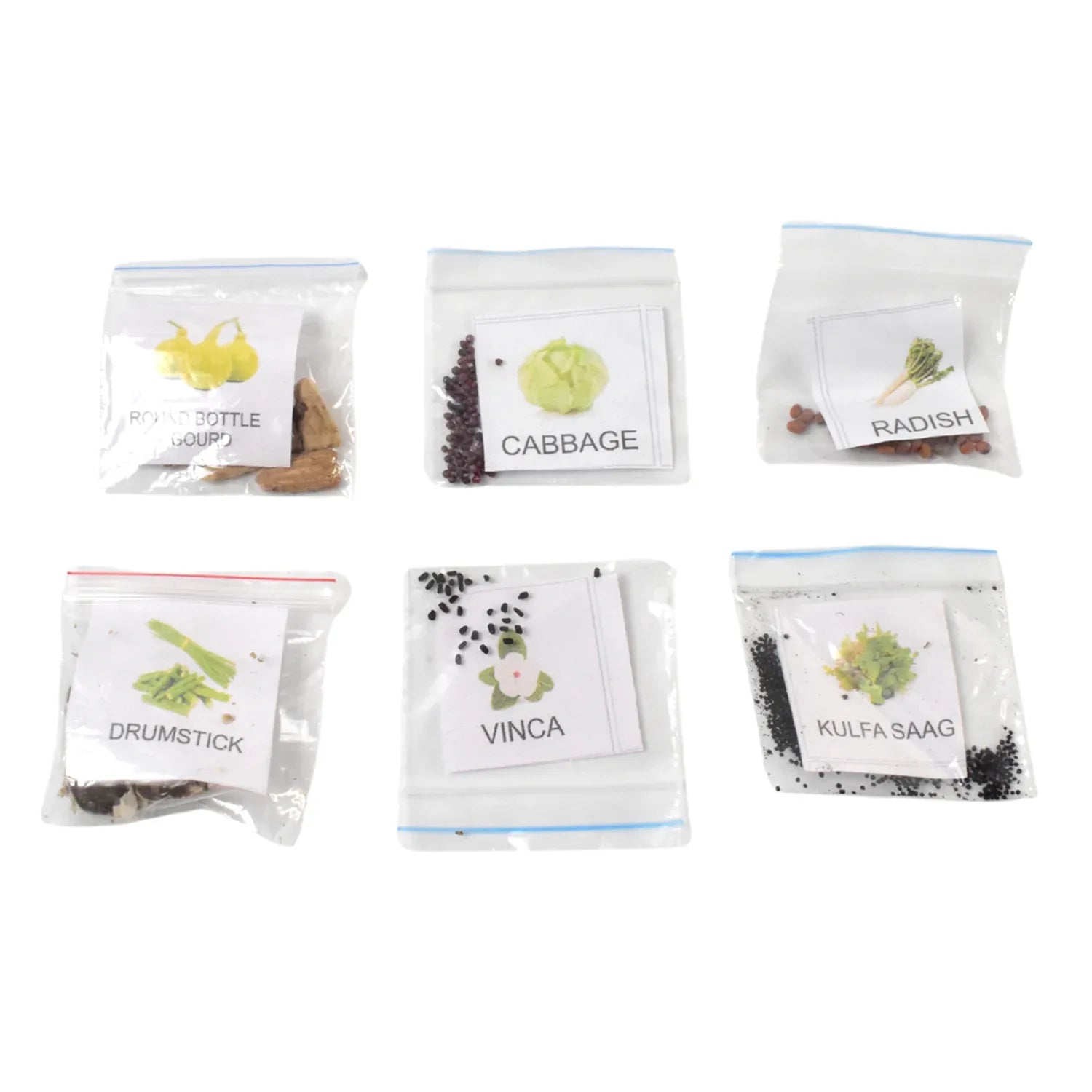 20 Varieties Of Vegetable Flower Seeds Combo (1 Pkt. 20 Varieties) - Zidbik