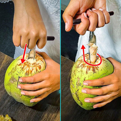 Stainless Steel Coconut Breaker Tool With Comfortable T-handle (1 Pc) - Zidbik