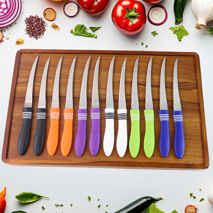 Stainless Steel Multipurpose Serrated Knife Set (12 Pc) - Zidbik