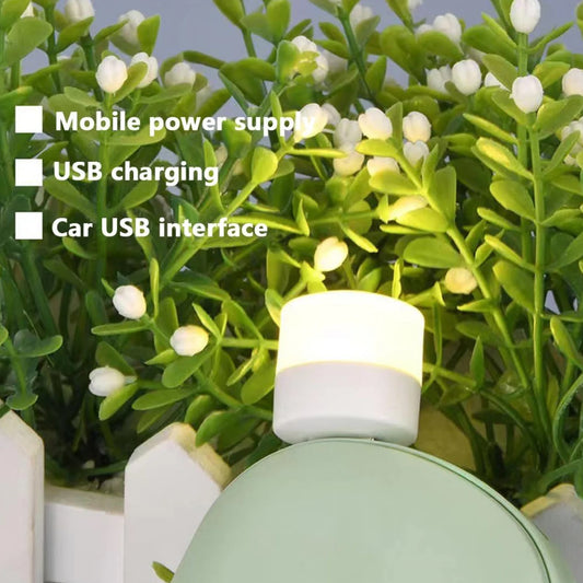 Usb Led Lamp Night Light Mini Portable For Pc And Laptop (5 Pcs  Mix Color) - Zidbik