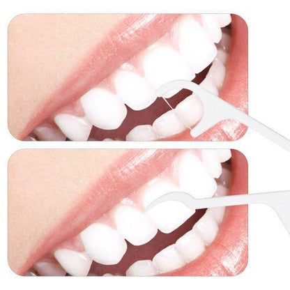 1096 Oral Care Dental Floss Toothpick Sticks - Zidbik