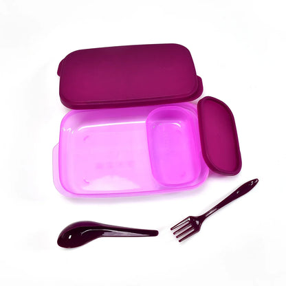 2453 Unbreakable Divine Leak Proof Plastic Lunch Box Food Grade Plastic Bpa-free 2 Containers With Spoon - Zidbik