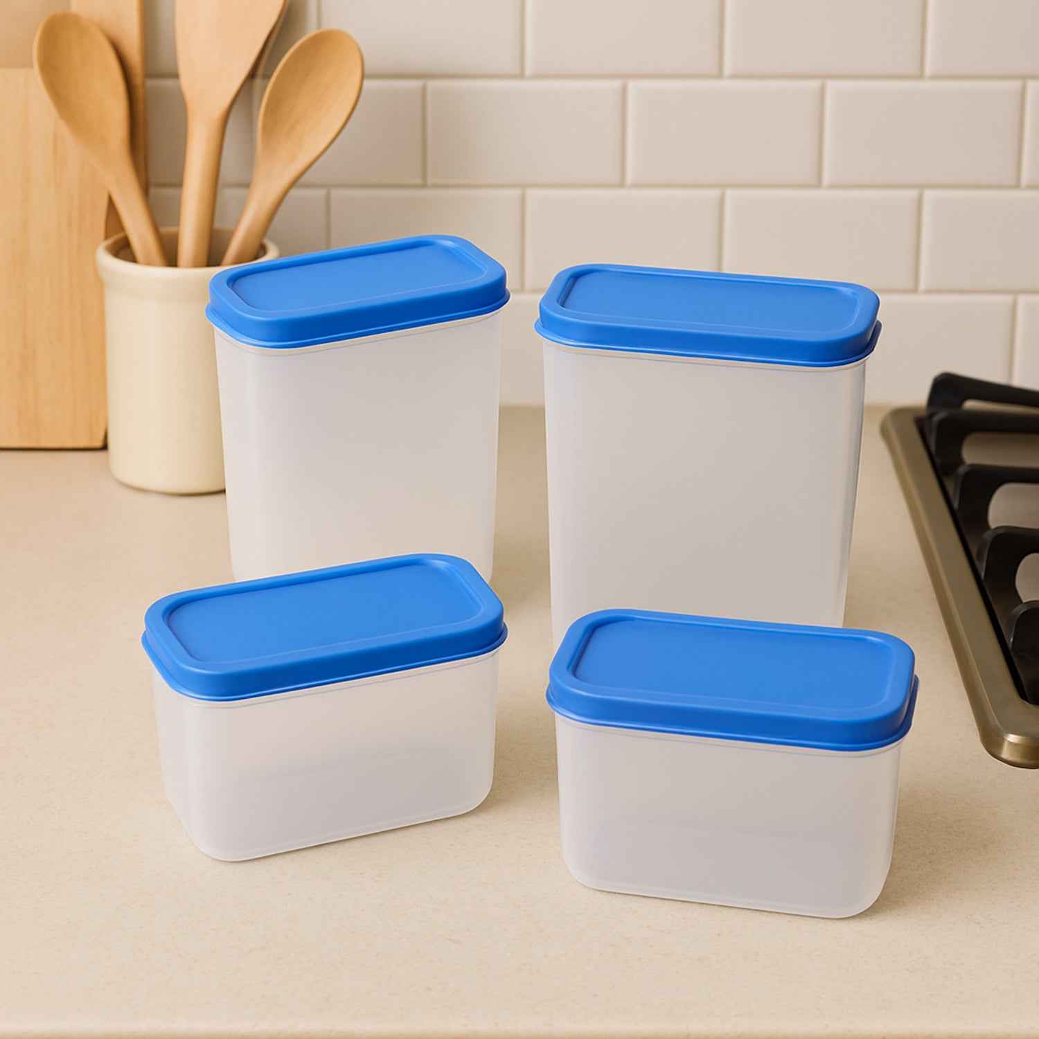Apex Glory Plastic Storage Container Box Set (4 Pc) - Zidbik