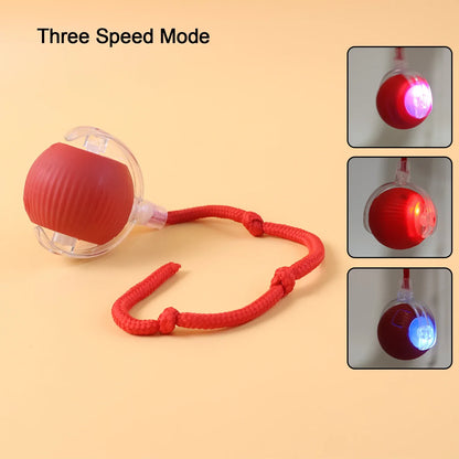 Rechargeable Interactive Cat Toy Ball With Detachable Braided Tail And Led Light (1 Pc) - Zidbik