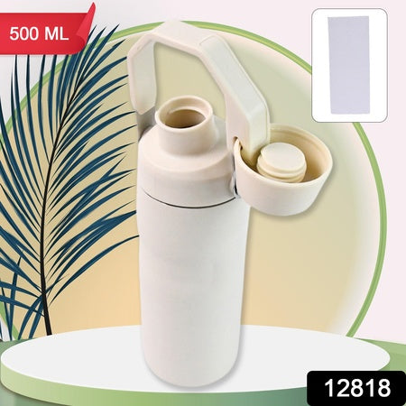 Insulated Stainless Steel Water Bottle (500 Ml) - Zidbik