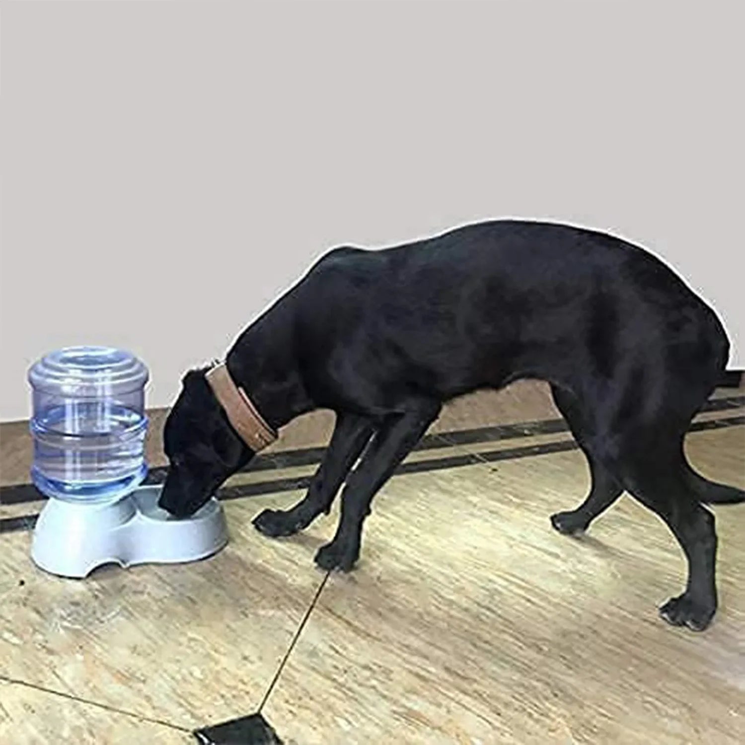 Automatic Pet Water Dispenser Self-dispensing Gravity Pet Feeder Water Cat Dog Feeding Bowl Drinking Water - Zidbik