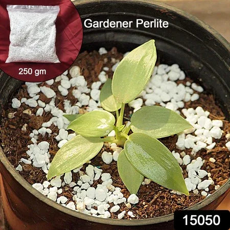 Paradise Perlite For Hydroponics Amp Horticulture Terrace Gardening Soil Conditioner (250 Gm) - Zidbik