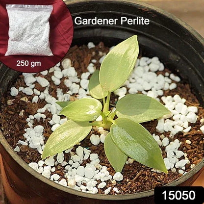 Paradise Perlite For Hydroponics Amp Horticulture Terrace Gardening Soil Conditioner (250 Gm) - Zidbik