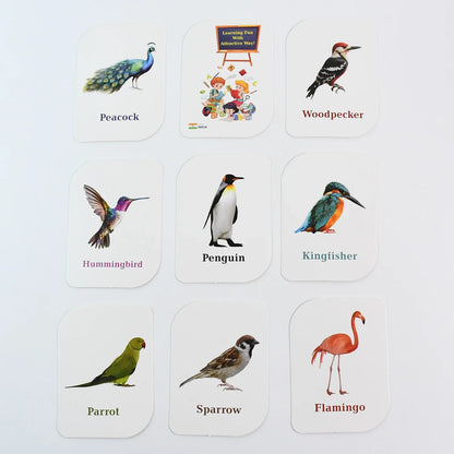 Kidkraft Early Learner Educational Flashcards 32 Birds - Zidbik