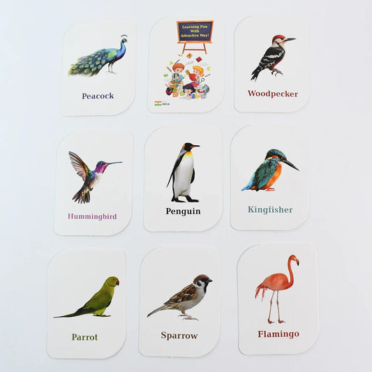Kidkraft Early Learner Educational Flashcards 32 Birds - Zidbik