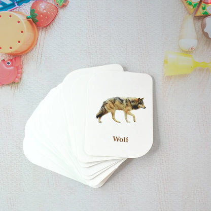 Kidkraft 32-piece Animal Flash Cards Set - Zidbik