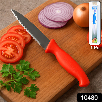 Stainless Steel Serrated Kitchen Knife (1 Pc) - Zidbik