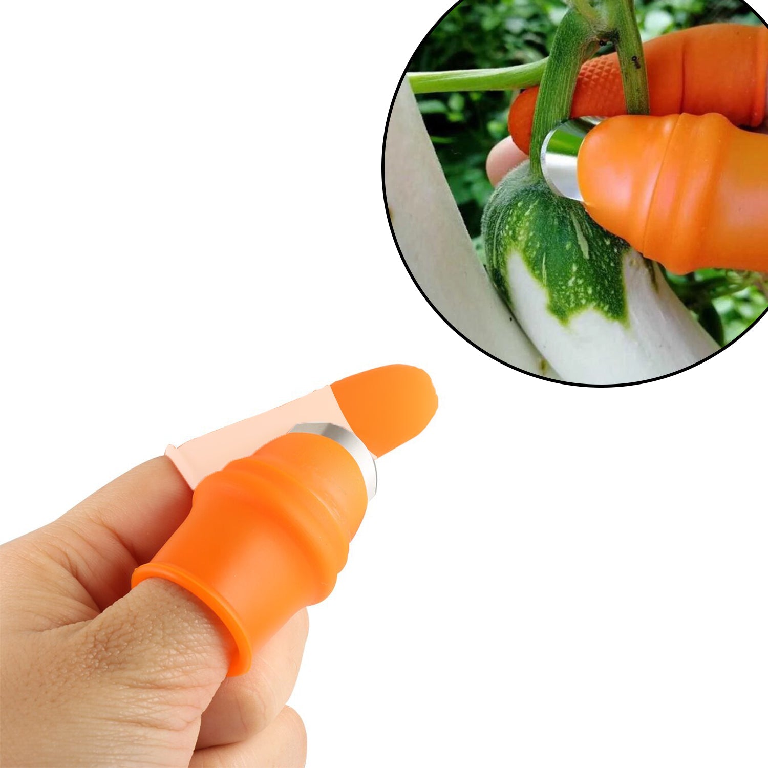 2662 Vegetable Thumb Cutter And Tool With Effective Sharp Cutting Blade System. - Zidbik