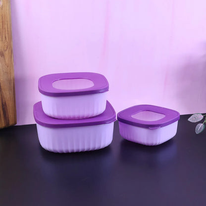 Premium 3 Piece Food Storage Container Set - Zidbik