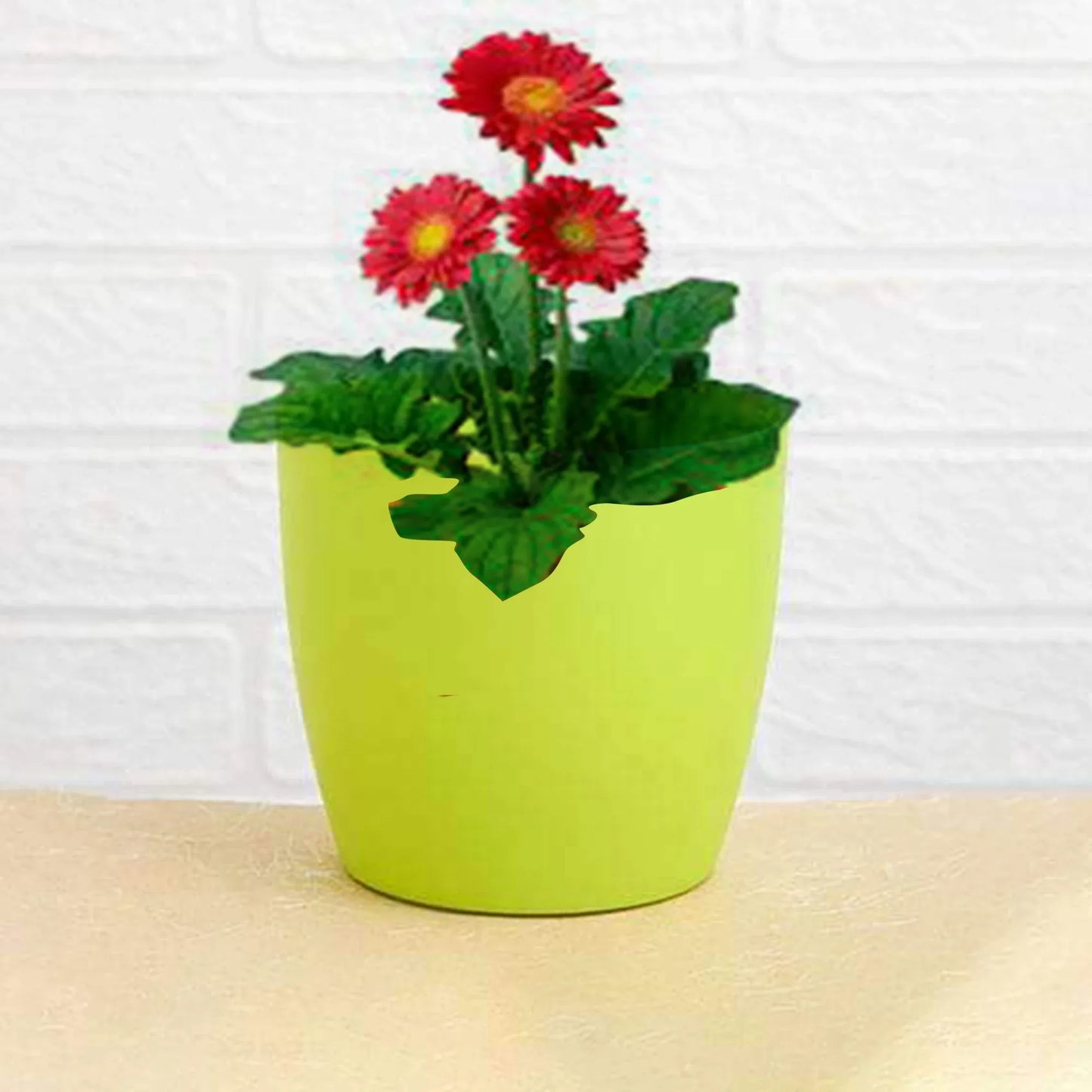 1191 Flower Pots Round Shape For Indooroutdoor Gardening - Zidbik