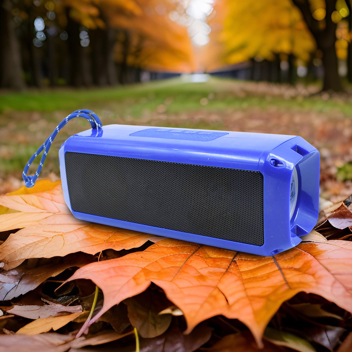 Portable Wireless Rechargeable Speaker Bluetooth Speaker (1 Pc) - Zidbik