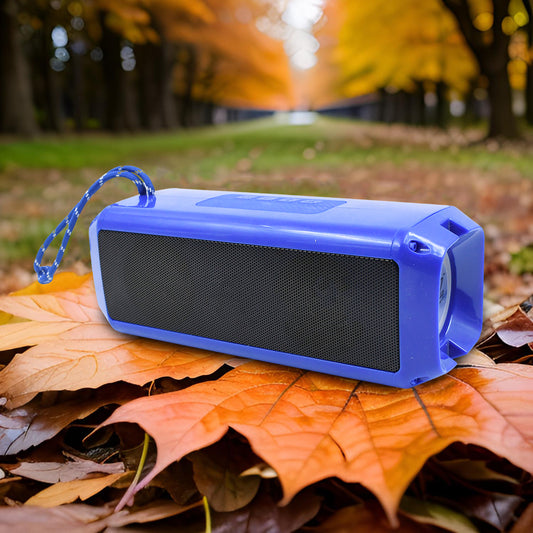 Portable Wireless Rechargeable Speaker Bluetooth Speaker (1 Pc) - Zidbik