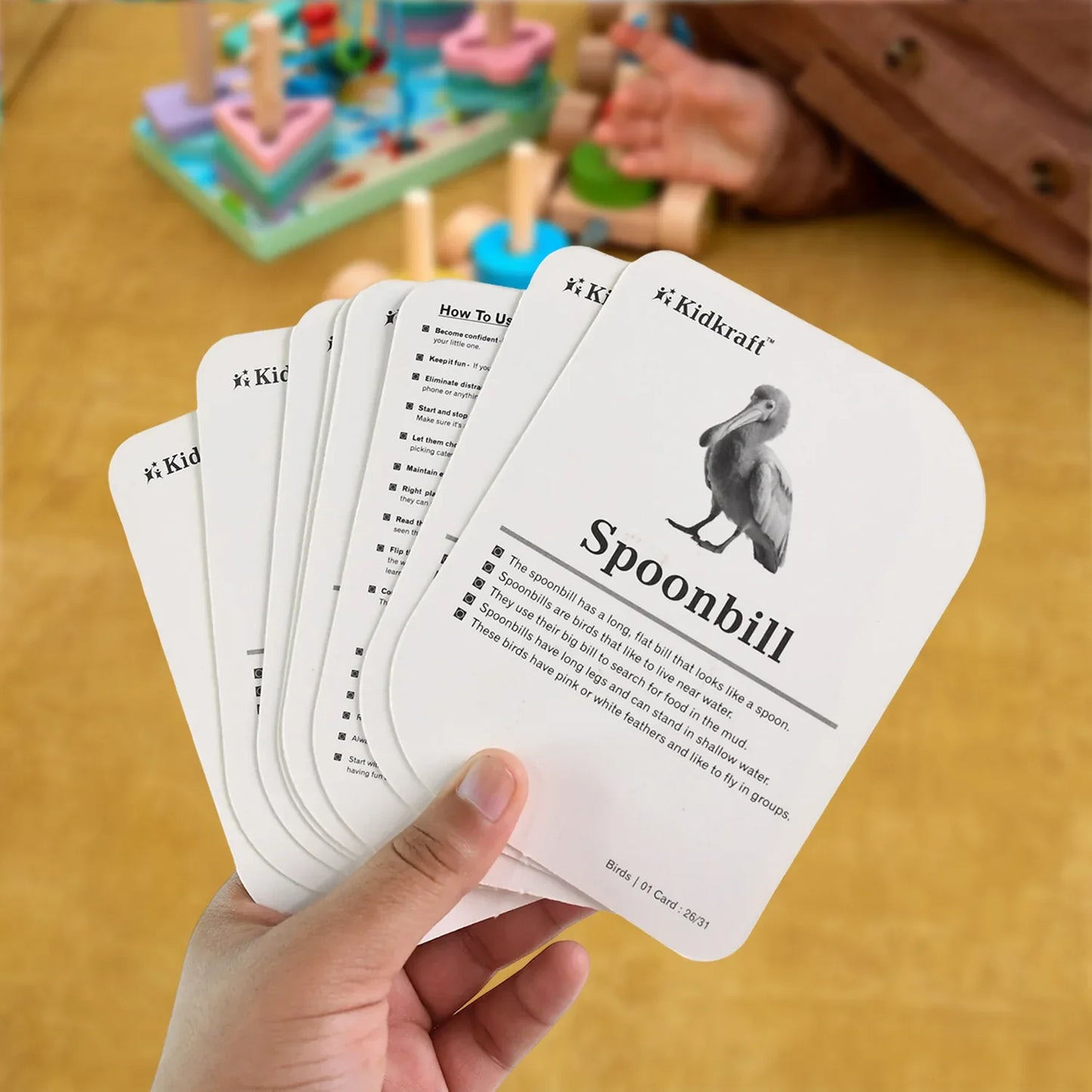 Kidkraft Early Learner Educational Flashcards 32 Birds - Zidbik