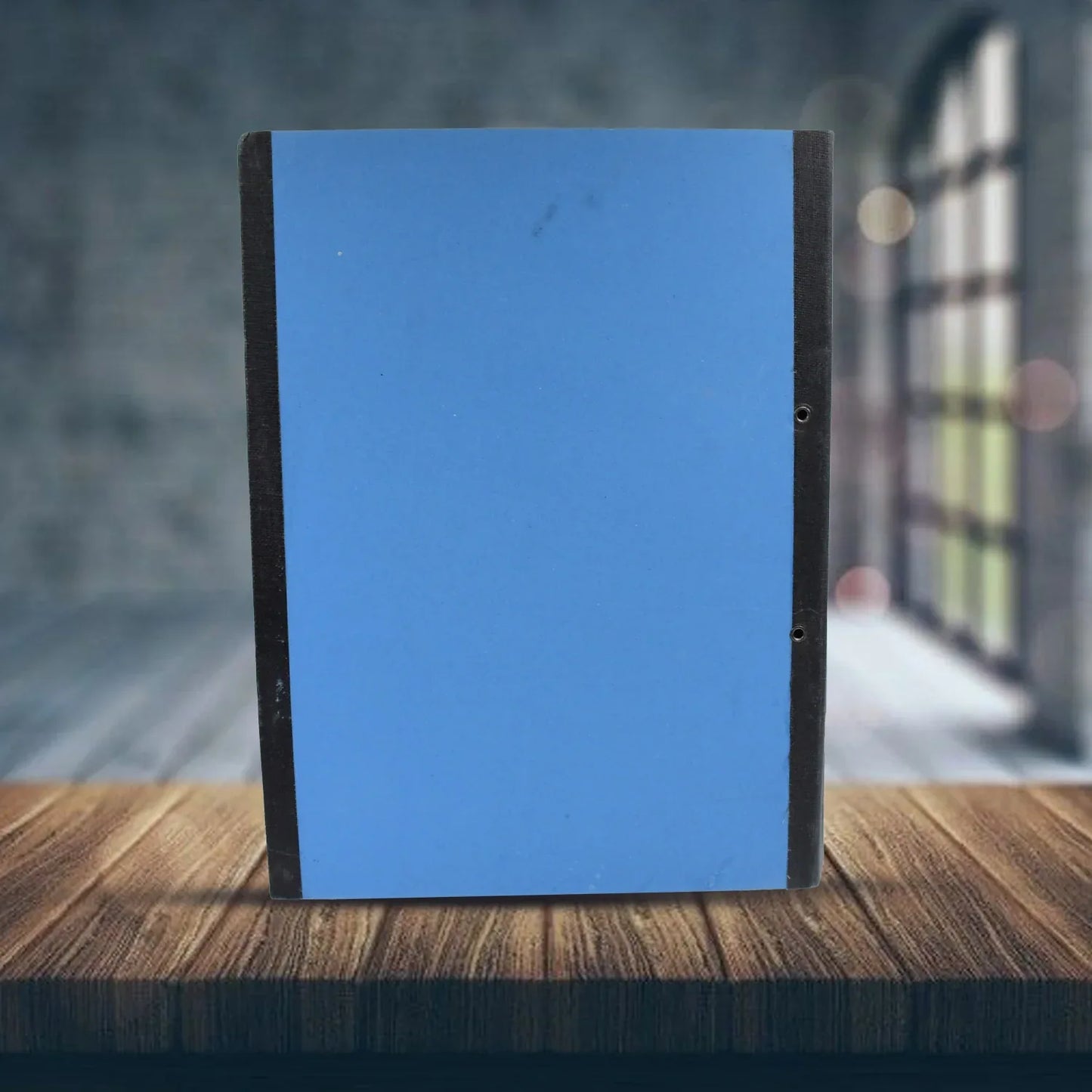 Standard File Plastic Clip File Folder Paper Holder Documents File (3526 Cm 1 Pc) - Zidbik