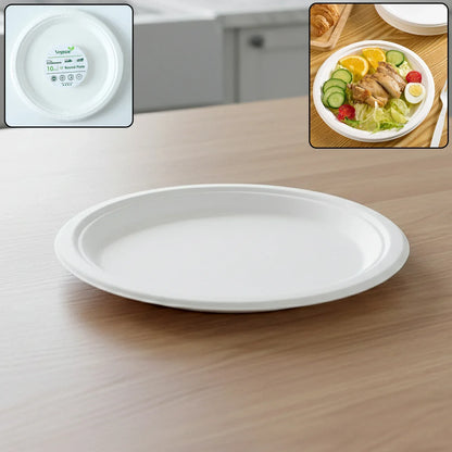 Vegnar Disposable Round Food Serving Plate (10 Pc) - Zidbik