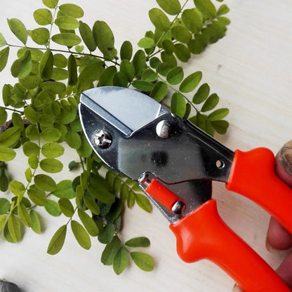 1572 Professional Garden Scissor With Sharp Blade Comfortable Handle (18cm) - Zidbik