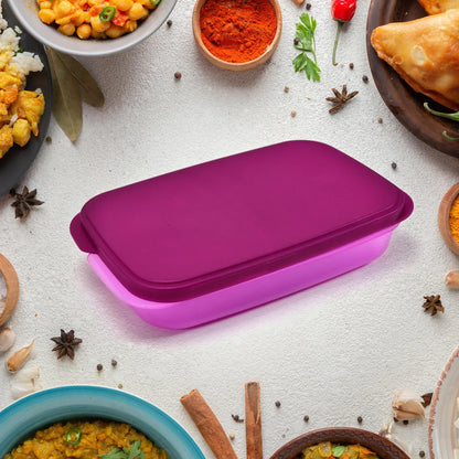 2453 Unbreakable Divine Leak Proof Plastic Lunch Box Food Grade Plastic Bpa-free 2 Containers With Spoon - Zidbik