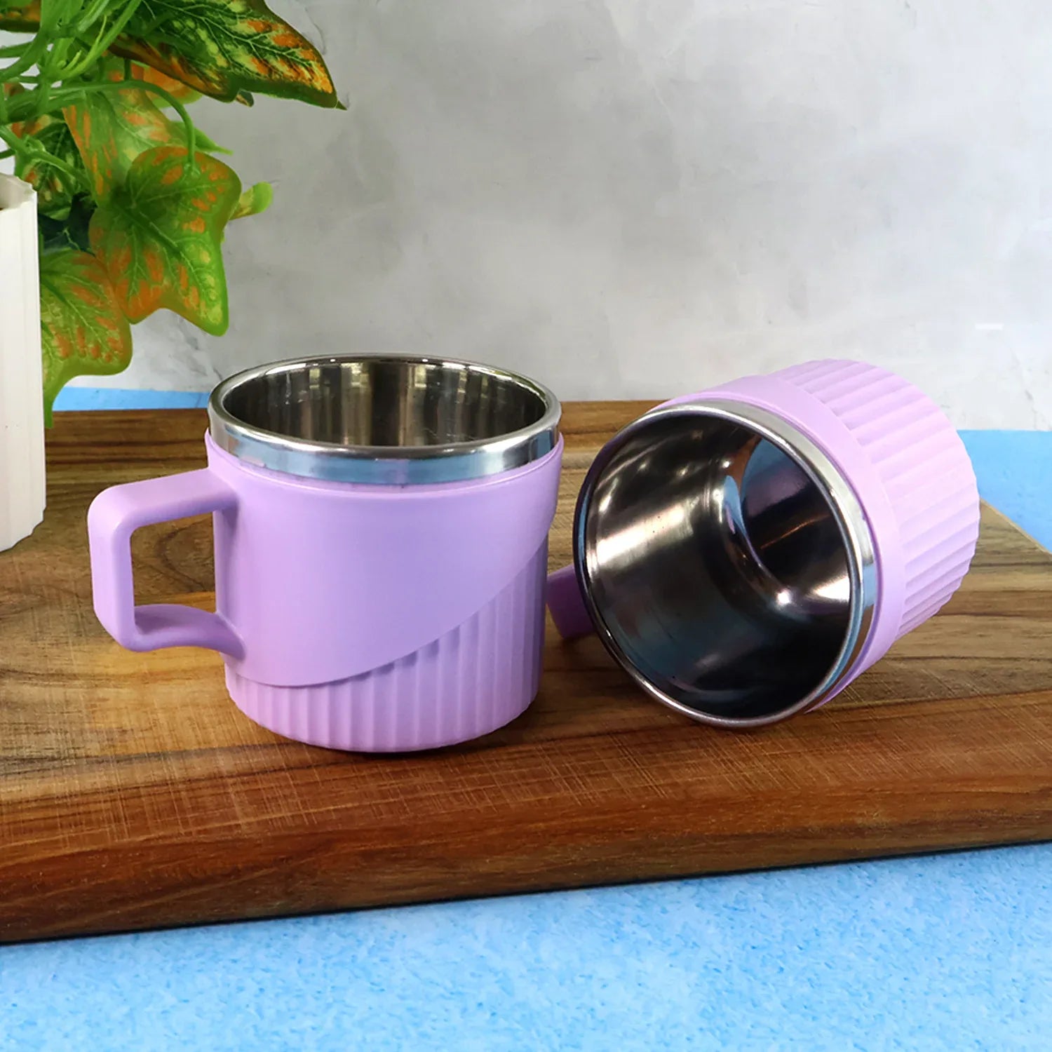 Apex Sturdy Tea Coffee Cup - (6 Pc Set) - Zidbik