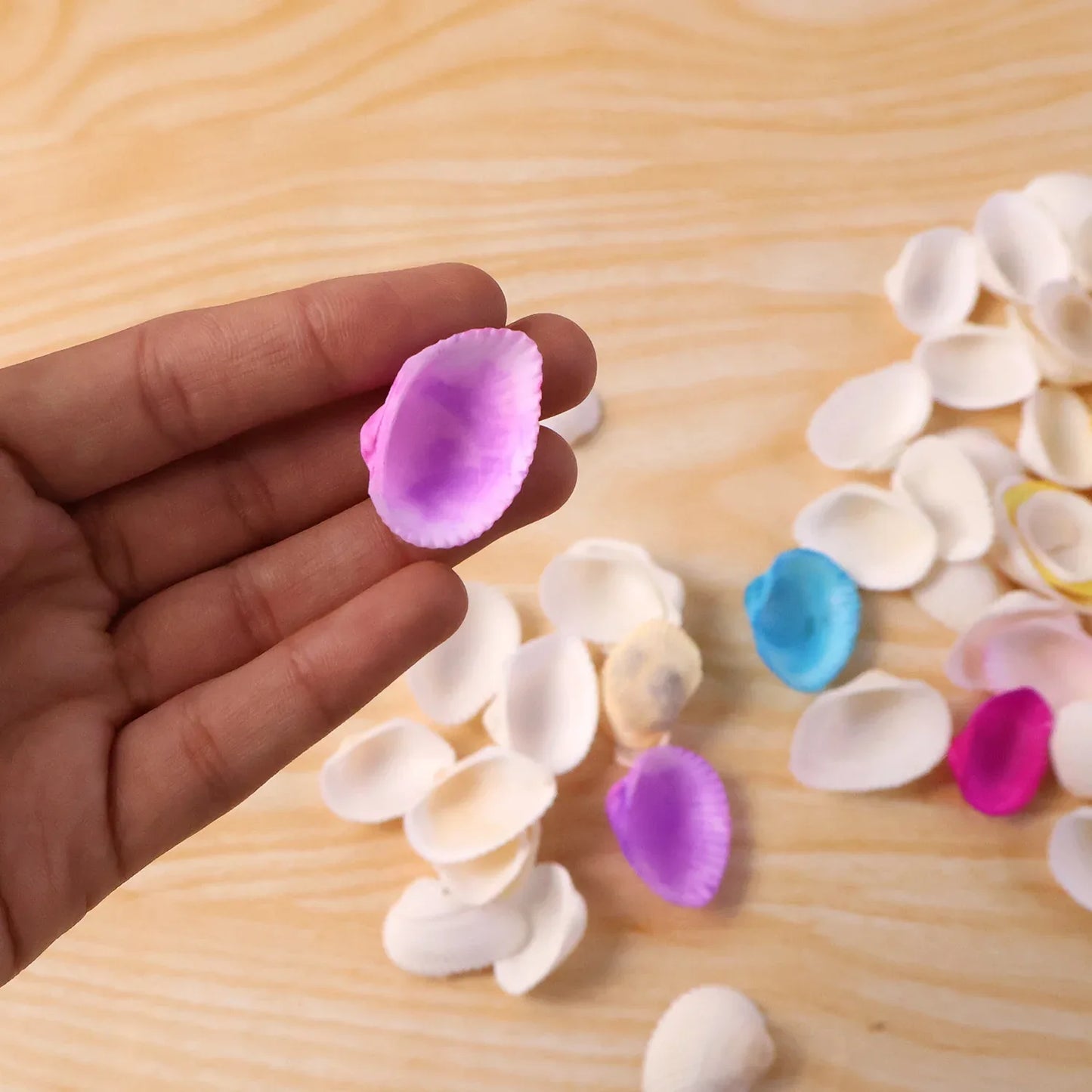 Decorative Seashells Set (1 Set) - Zidbik