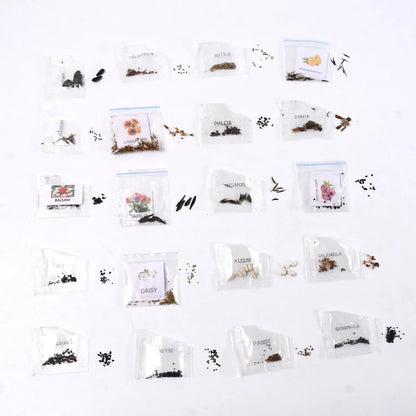 Seeds 20 Varieties Of Flower Seeds Combo (1 Pkt 20 Varieties) - Zidbik