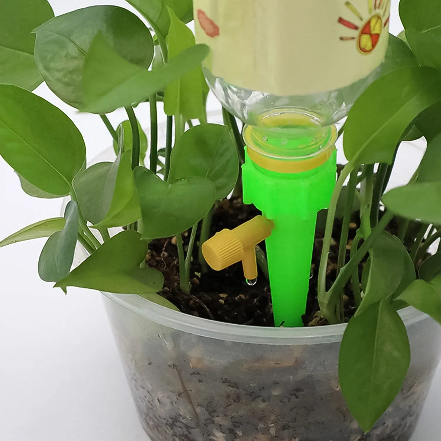 Green Plant Watering Spikes Self Watering Spikes (1 Pc) - Zidbik