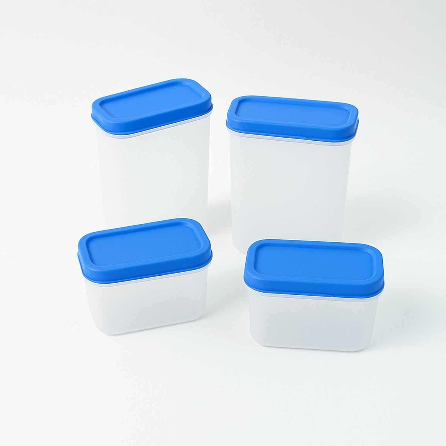 Apex Glory Plastic Storage Container Box Set (4 Pc) - Zidbik