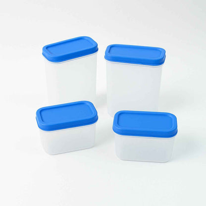 Apex Glory Plastic Storage Container Box Set (4 Pc) - Zidbik