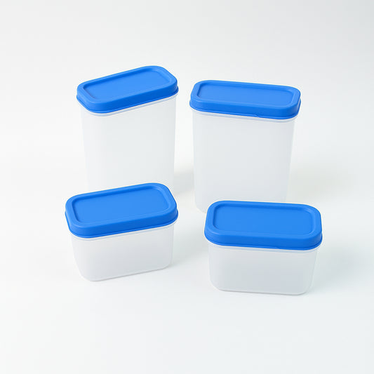 Apex Glory Plastic Storage Container Box Set (4 Pc) - Zidbik