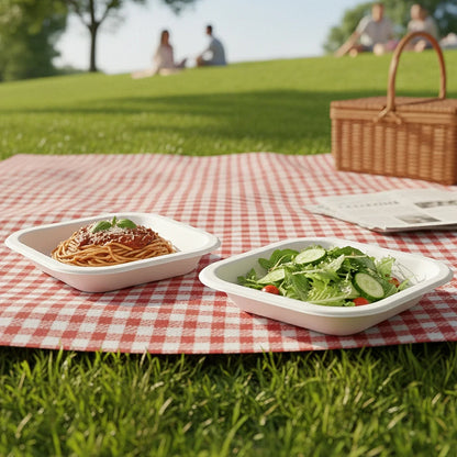 Disposable Square Food Serving Tray Set (10 Pc) - Zidbik