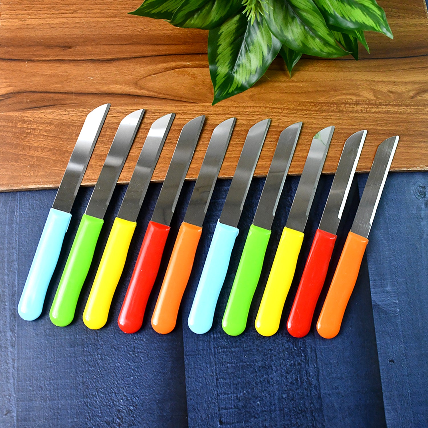 Premium Quality Stainless Steel Handle Plain Knife (10 Pc  1 Set) - Zidbik