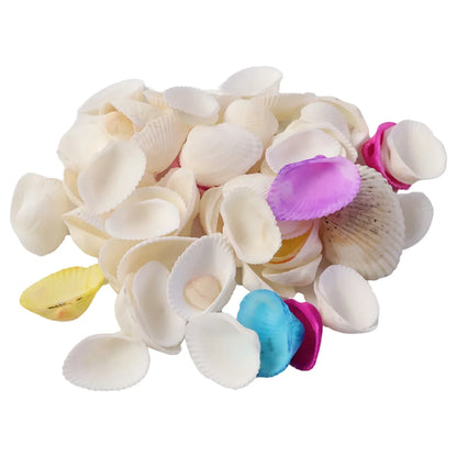 Decorative Seashells Set (1 Set) - Zidbik
