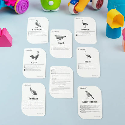 Kidkraft Early Learner Educational Flashcards 32 Birds - Zidbik