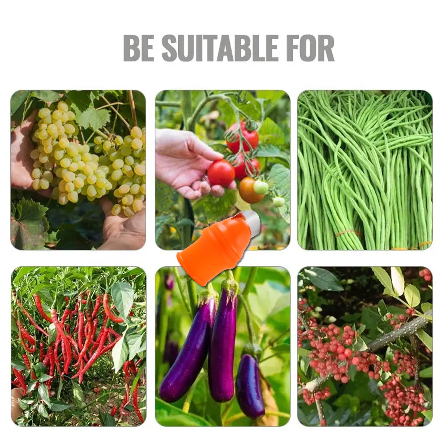 Thumb Knife Cutter With Silicone Finger Guard (1 Pc) - Zidbik